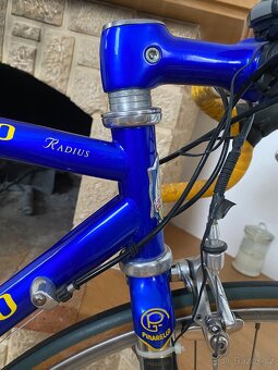 Pinarello Radius Campagnolo - 5