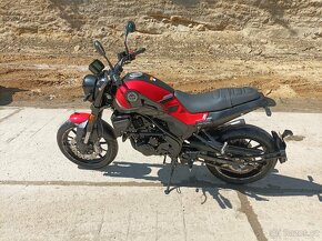 Benelli Leoncino 250 - 5