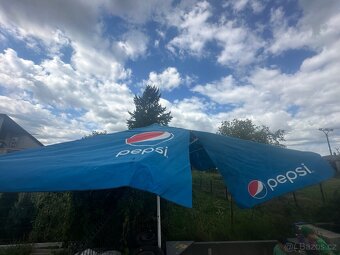 Slunečník hospodský - 5