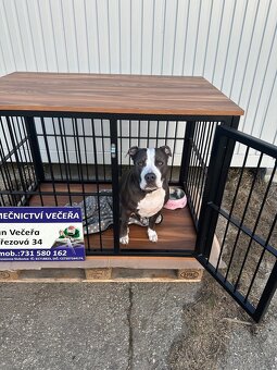 Klec pro psa (ručně svařovaná) - 5