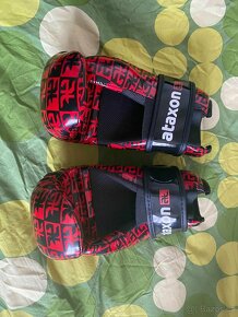 Taekwondo - 5