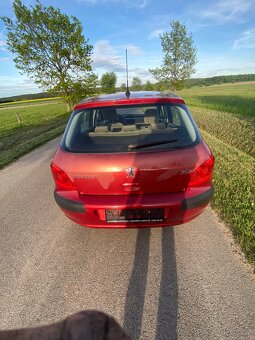 Peuegot 307 - 5
