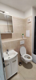 Pronájem bytu 1+1 se dvěmi lodžiemi, 50m2 - 5