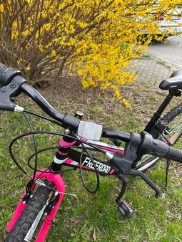 Dívčí kolo 💕 - 5