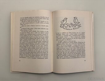 Devatero pohádek - Karel Čapek - 5
