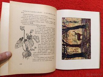 NA TATRANSKÉ KOLIBĚ - Josef Jirsík - 5