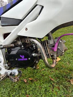 Pitbike kxd 125 ccm - 5