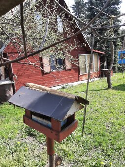 Prodej zahrady s chatkou v Ostravě-Kunčicích - 5