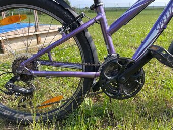 Specialized 24 - 5