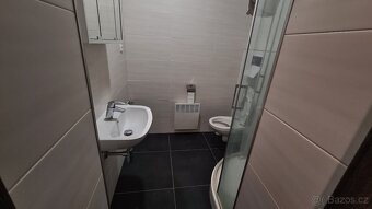 Pronajmu byt 1+1 v Litomyšli - 5