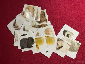 Velké pexeso vel.XL => PLNO DRUHŮ - 5