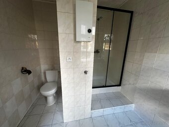 Pronájem bytu 1 + 1 - 5