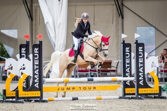 Pony B, valach 13let – drezura, parkur, ZZVJ, výstavy/ - 5