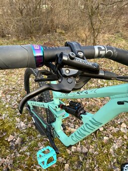 Canyon Torque Mullet AL 5 - 5