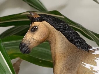 Schleich repainti - 5