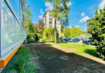 Pronájem bytu 1+kk 23 m², J. Hory - 5