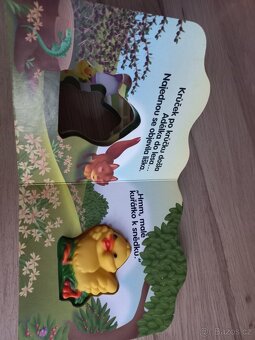 Kniha obrázková - 5