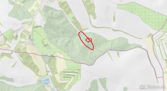 Prodej lesního pozemku k.ú. Šitbořice - 5