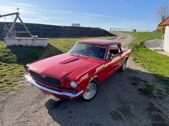 Mustang - 5
