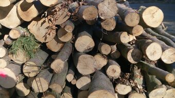 Prodám palivové  dřevo - 5