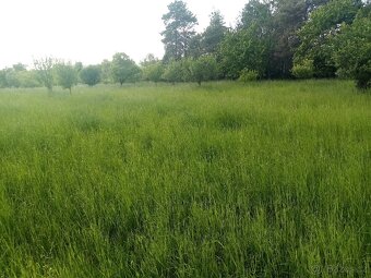 Prodám  stavební  pozemek (zahradu) výměra 4130m2 - 5