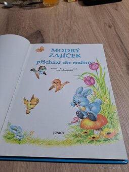 Modrý zajíček,  Carlos Busquets - 5