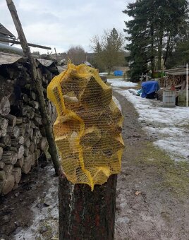 Štípané palivové dřevo - 5