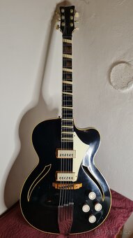 Kytara Neoton Jolana - 5