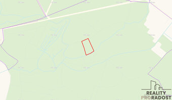 Prodej lesa, 16.253m2, Lohenice - Přelouč - 5