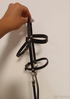 Hobby horse - 5
