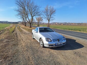 Slk 230 amg trim - 5