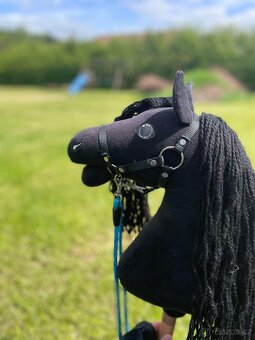 Hobby horse - 5