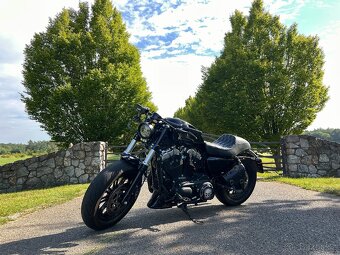 Harley Davidson Forty Eight 1200 - 5