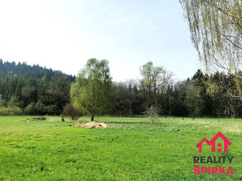 Pozemek, CP 4698 m2, Dlouhoňovice, Žamberk, okres Ústí nad O - 5