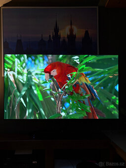 LG OLED65C44, zaruka 2 roky - 5