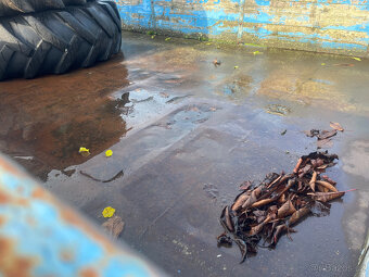 Sklápěcí vlek 8t s SPZ - 5