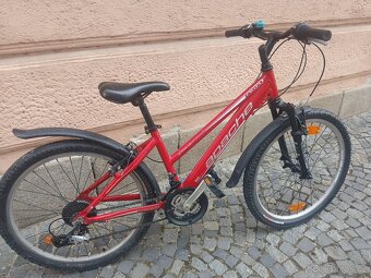 Horské kolo Apache Starlight Alloy 24" - 5