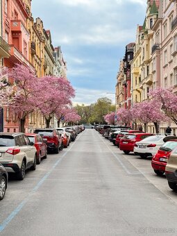 Pronájem byty 2+kk, 55 m2 - Praha - Vinohrady, ev.č. L1391 - 5