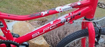 Superior Paint 20"- PĚKNÉ - 5