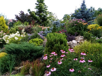 Zahradnické služby - 5