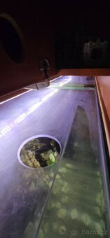 Prodám akvárium - 5