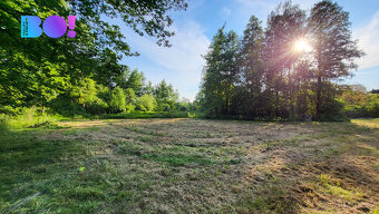Prodej stavebního pozemku 1 999 m², Ludgeřovice - 5