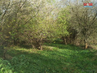 Prodej zahrady, 2804 m², Olomouc - 5