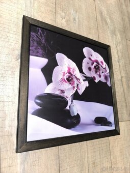 OBRAZ NA STĚNU (33 x 33 cm) - 5