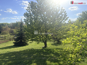 Zahrada  "Za Kasárnami" Mikulov - 5