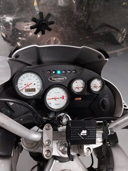 Triumph Tiger 955i - 5