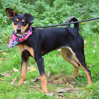 Vitalina rezervace - 5