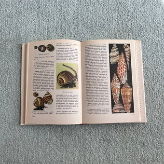 Světem zvířat V. Bezobratlí 1 - 5