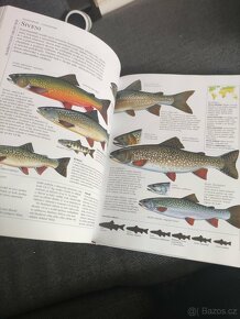 Encyklopedie Rybářství - 5