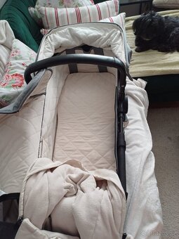 Bugaboo Buffalo - 5